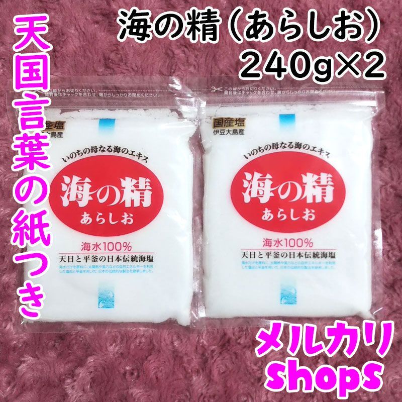 【240g×2袋】斎藤一人さんオススメの自然塩「海の精」あらしお