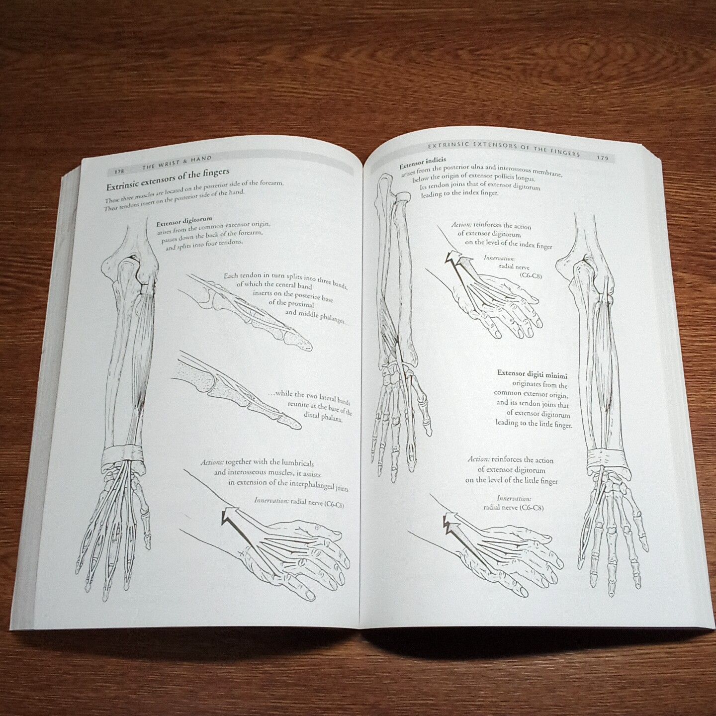 ANATOMY OF Movement　洋書　古書・古本