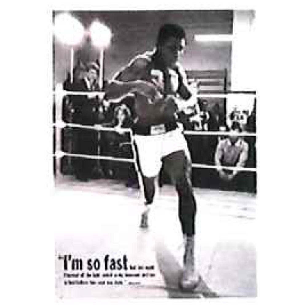 モハメッド　アリ　ＭＵＨＡＭＭＡＤ　ＡＬＩ　ＭＥＭＯＲＩＥＳ　ボクシング 伝説は生き続ける。 Everlast × Muhammad Ali ※本企画は