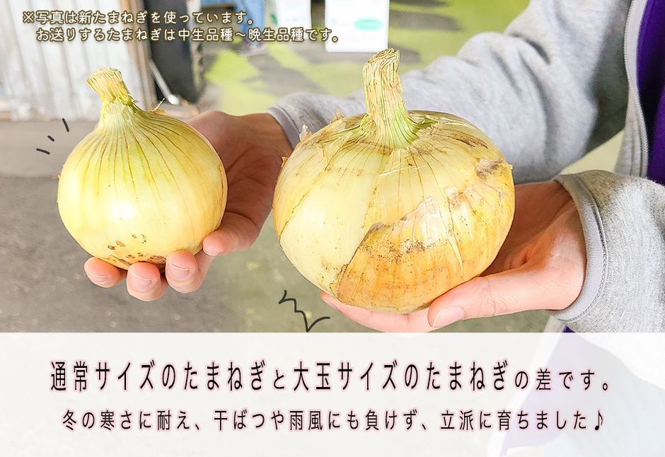 のサムネイル