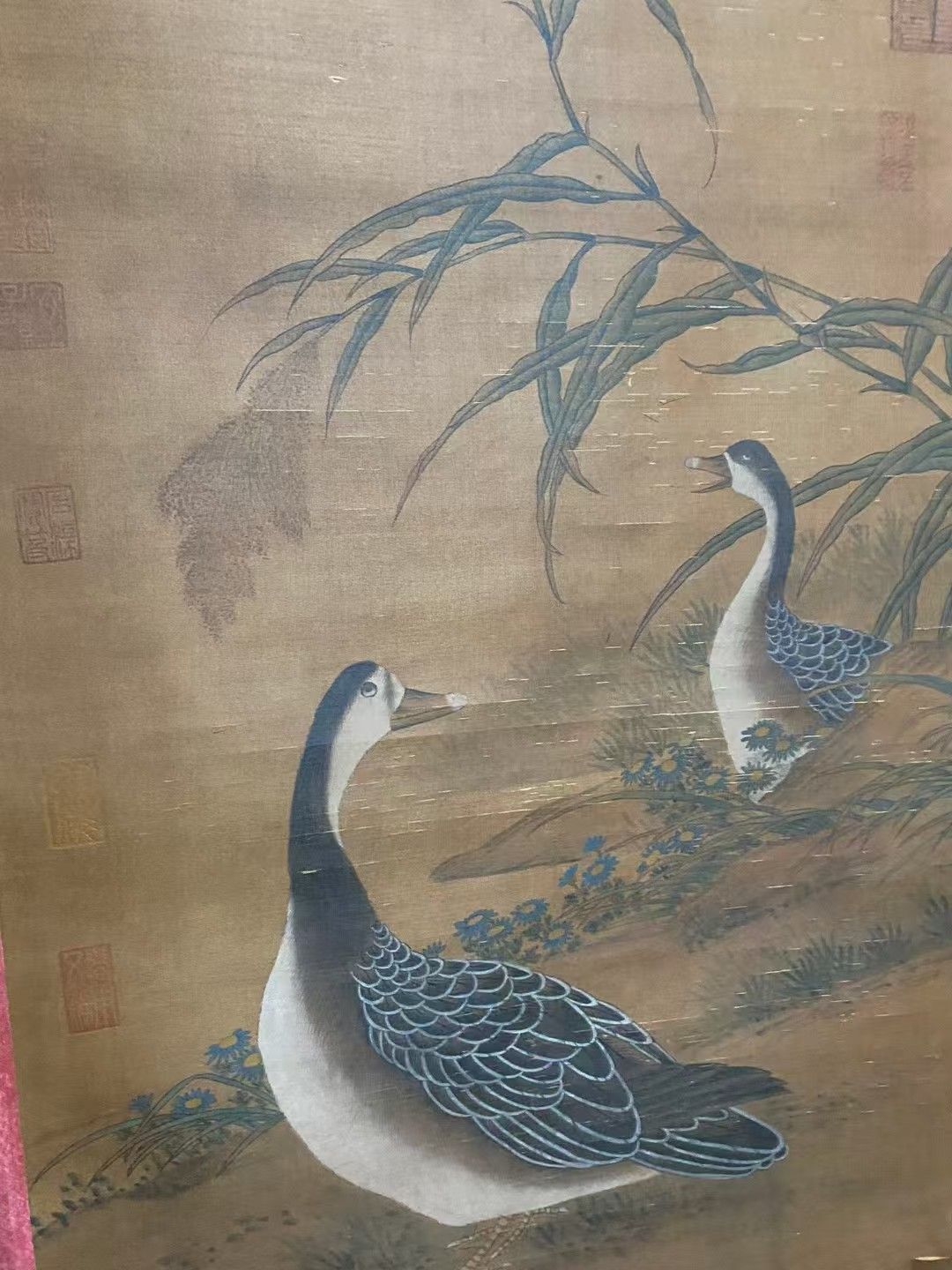 ♦中国 梅花尾長鳥 書画骨董 水墨画 絵画 骨董品 コレクション アンティーク 中国古美術.精品三尺中堂画.宋徽宗花鳥画.手描きの作品.実物撮影