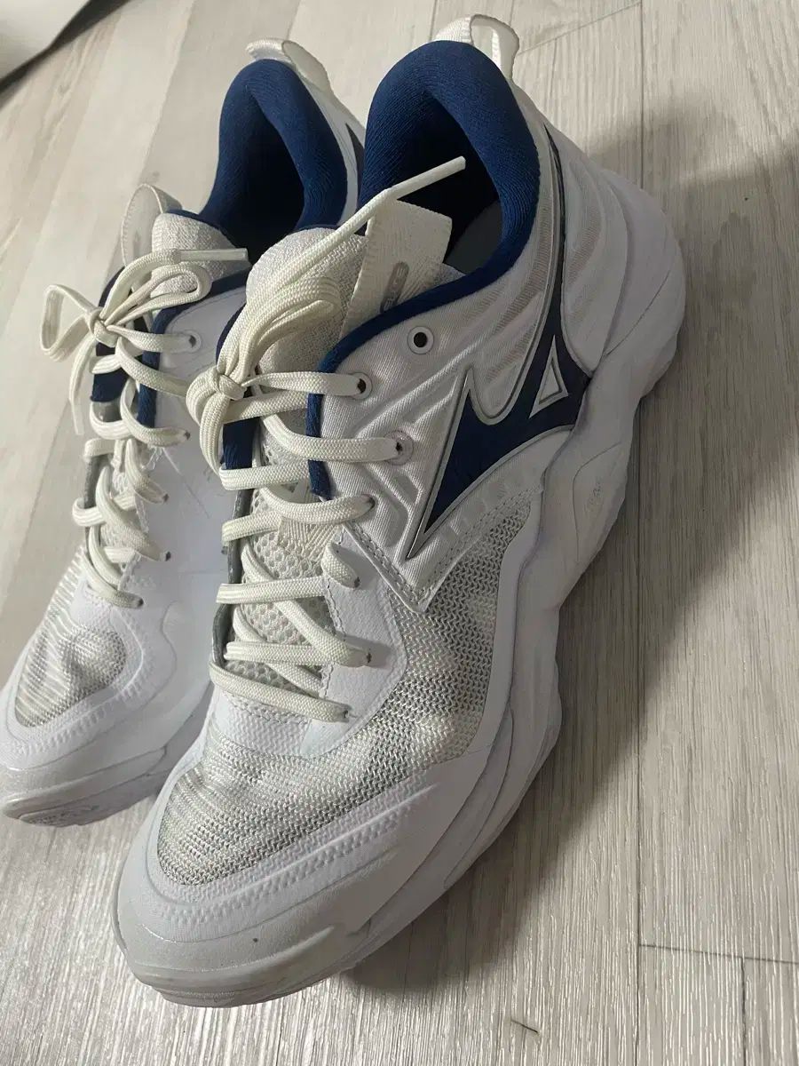 バレーボールシューズ 270