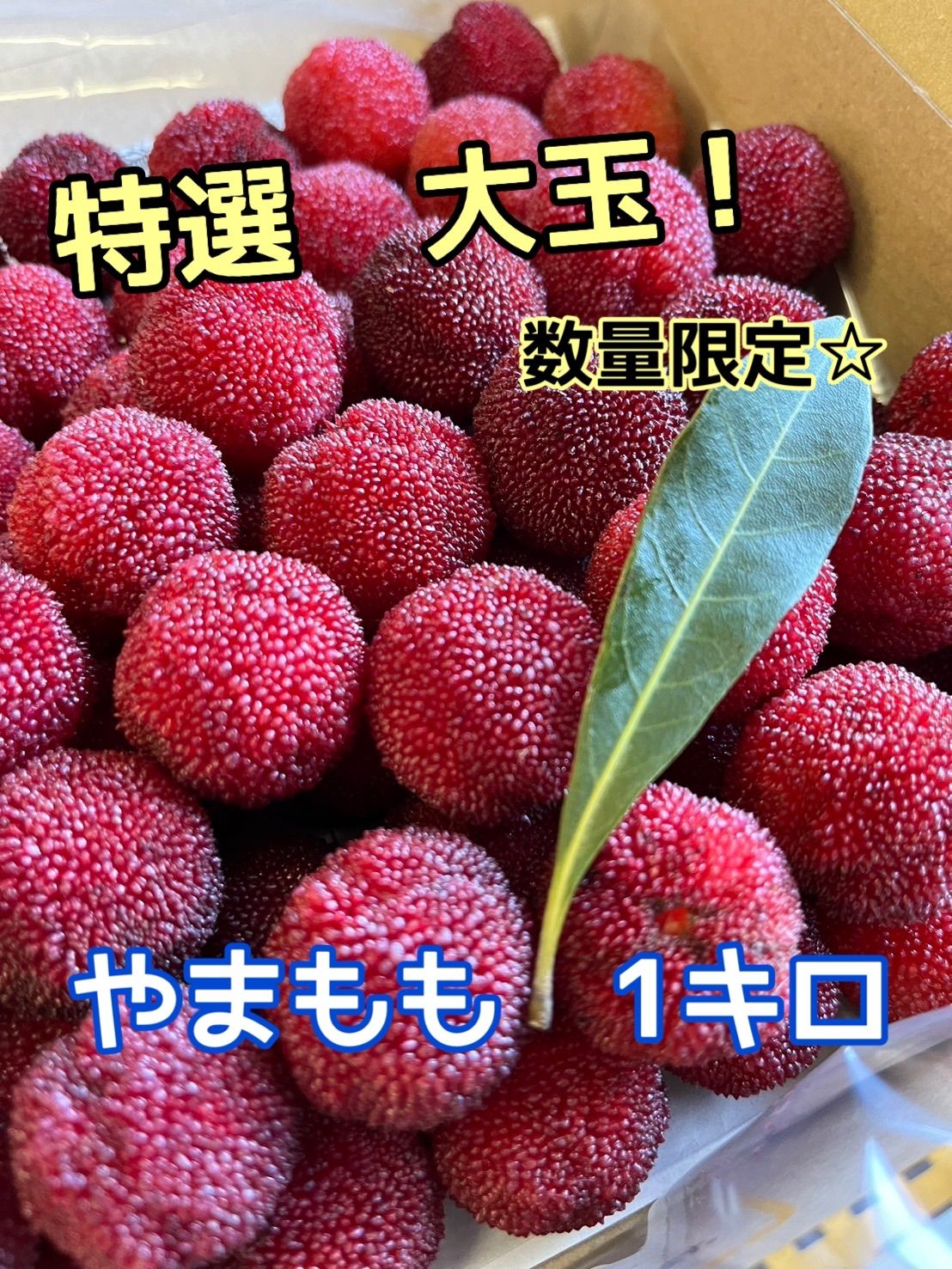 やまもも大玉　専用 やまもも 大玉