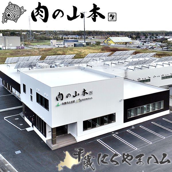 父の日 千歳にくやまハム 北海道産 黒ラベルA (5品/冷蔵品/NYH-02) 2025 冬ギフト ハムギフト ハム ソーセージ 詰め合わせ 寒中見舞い ギフト 贈り物 お祝い 内祝い プレゼント ご家庭用 北海道 グルメ 肉の山本 お取り寄せ