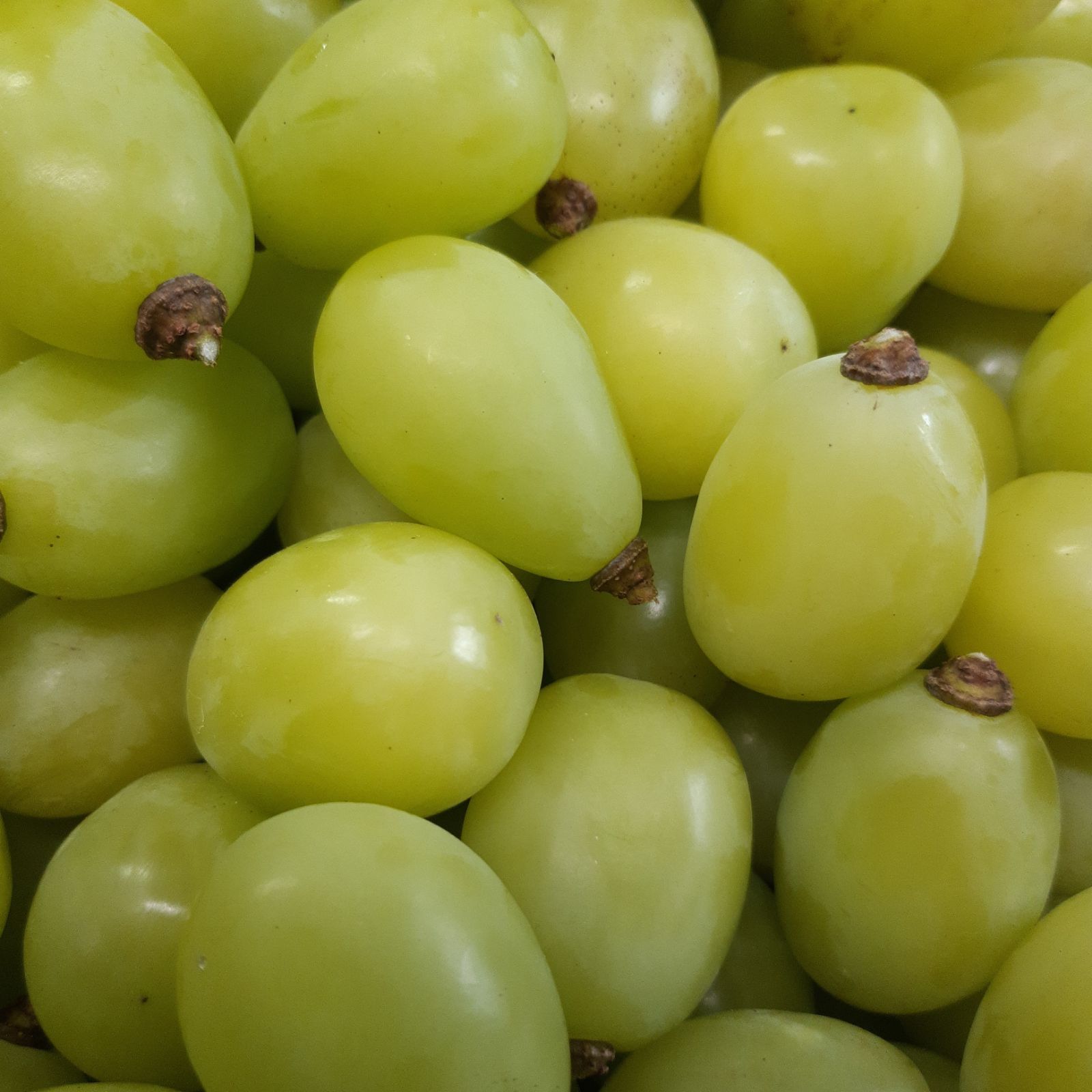 シャインマスカットの大粒グリーン多め入り、5キロ入りの粒パック入りになります。 シャインマスカット大粒グリーン多め入り粒5キロ入りになります。