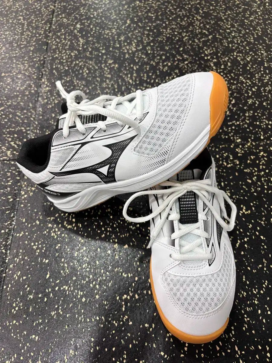 Mizuno ミズノ サイクロンスピード 245 1 会議用 バレーボールシューズ バドミントンシューズ インド化