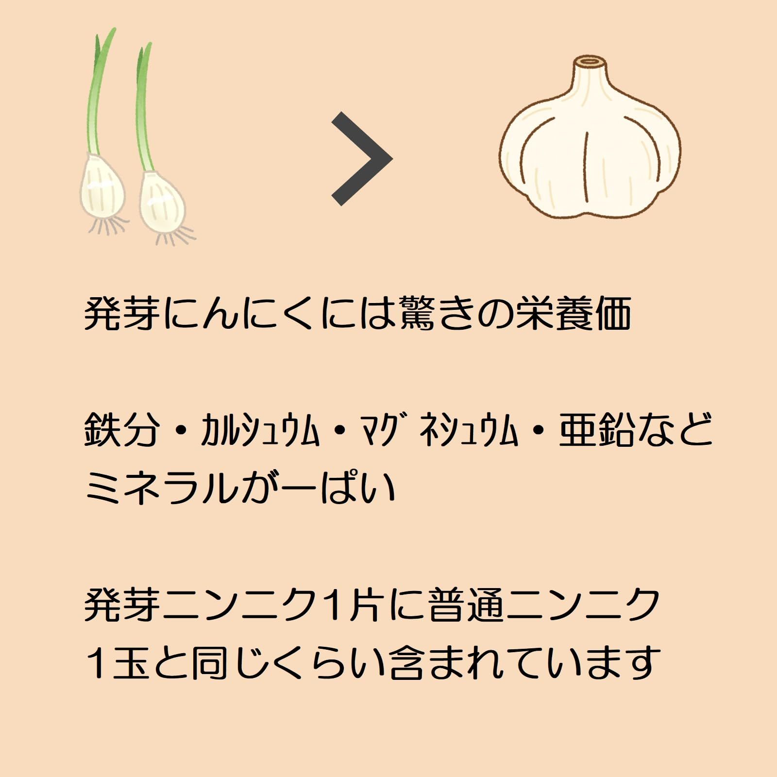 穴銭 中国銭 乾道元宝鉄折二銭 4枚まとめロット 乾隆通宝 4枚まとめて