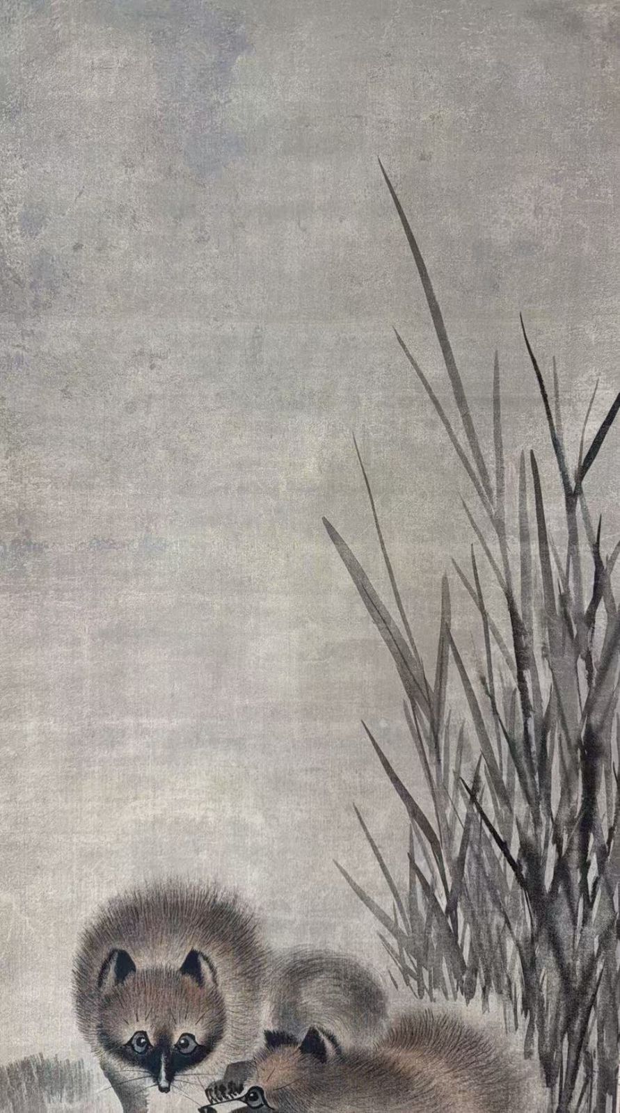 夫婦狐狸図 他拔