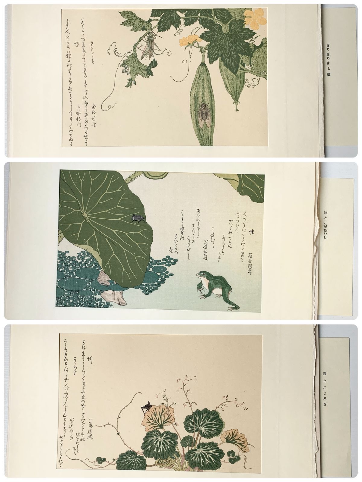 喜多川歌麿筆 虫えらみ すいせん樽﨑宗重 監修解説山口桂三郎