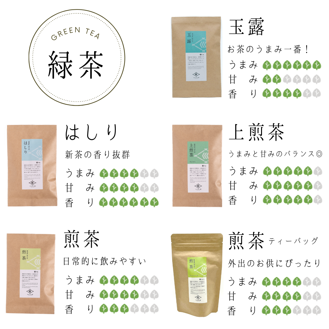 2024 新茶【農薬・化学肥料不使用】煎茶ティーバッグ やぶきた 15パック