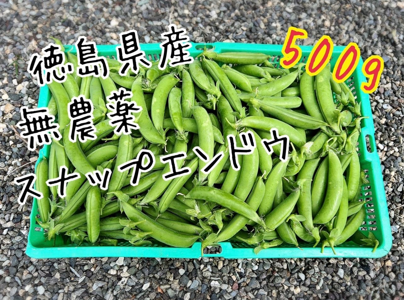 スナップエンドウ　500g 農薬・化学肥料不使用　徳島県産 スナップエンドウ 500g 農薬・化学肥料不使用 徳島県産