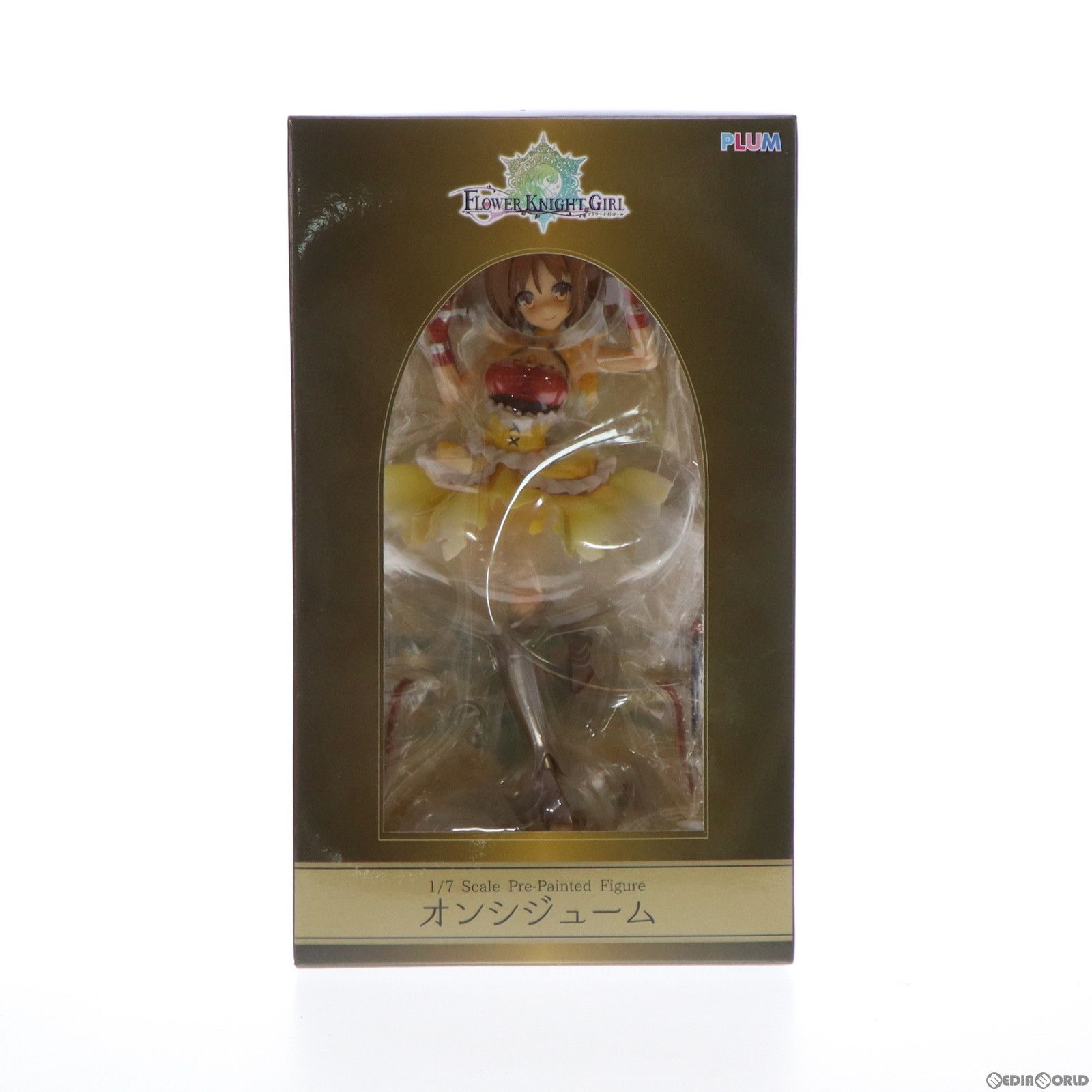 オンシジューム FLOWER KNIGHT GIRL(フラワーナイトガール) 1/7