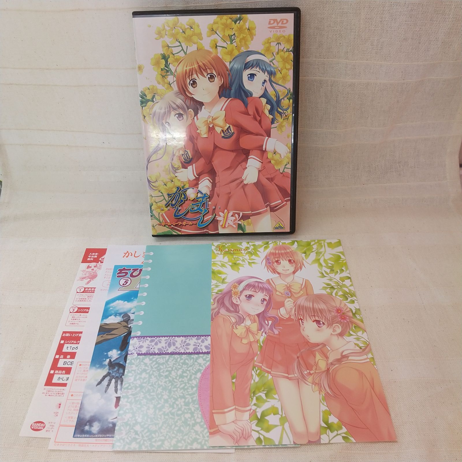 かしまし ～ガール・ミーツ・ガール～ 1 レンタル落ち 中古 DVD ケース