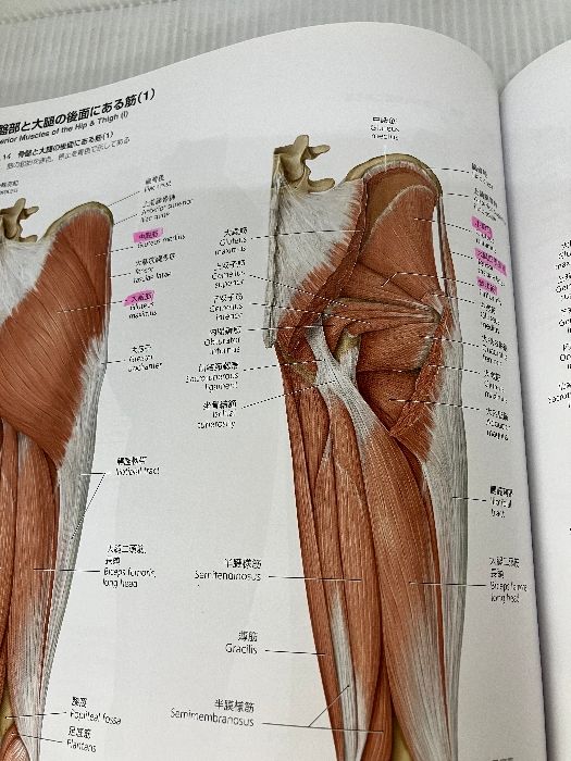 さく⭐︎病気がみえる vol.2 プロメテウス解剖学コアアトラス プロメテウス解剖学 コア アトラス』｜感想・レビュー - 読書