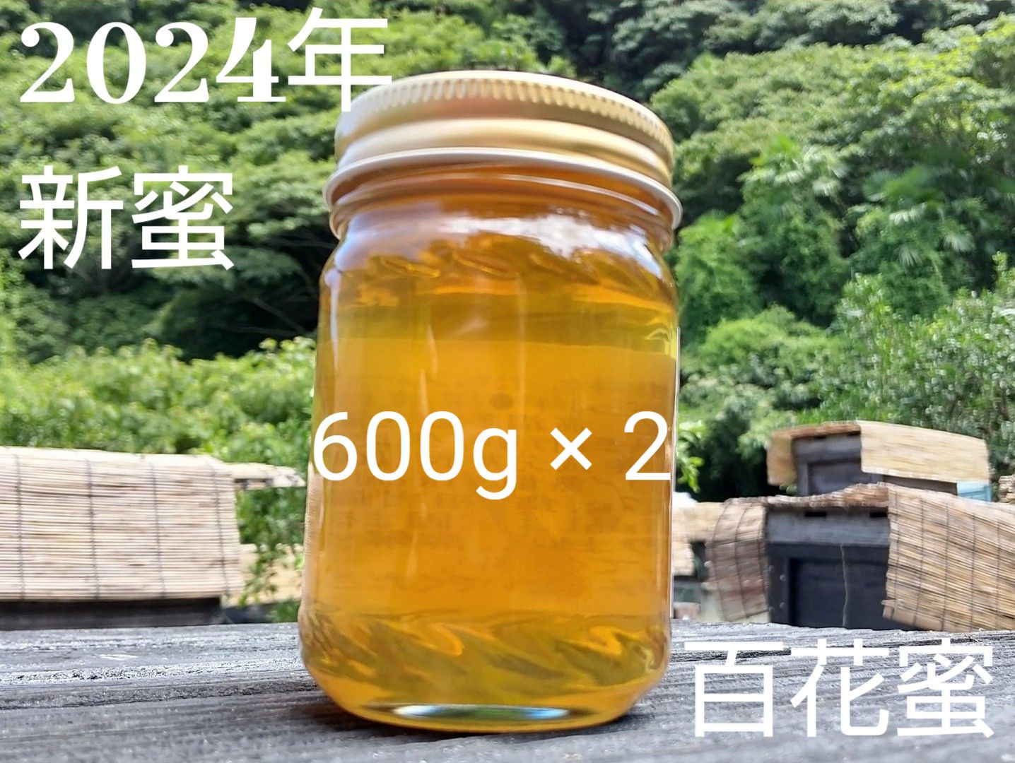 Anthropologie タツノオトシゴ計量スプーン4本セット 小さじ スプーン