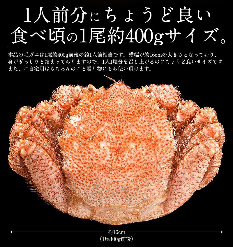 毛ガニ 400g前後×2尾 かに 毛蟹 毛がに ギフト グルメ ボイル毛ガニ