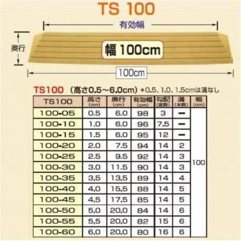  シンエイテクノ 段差解消スロープ タッチスロープ 100-60 TS 462006 その他 車椅子