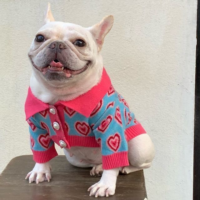 【Sサイズから2Lサイズ】ペットウェア ドックウェア セーター 春 秋 冬 犬服 おしゃれ　かわいい ペット服 ペット おしゃれ 人気 小型犬 中型犬 大型犬 ピンク 青 かわいい カラフル 派手 愛犬服 袖あり 襟付き カーディガン お散歩 お出かけ