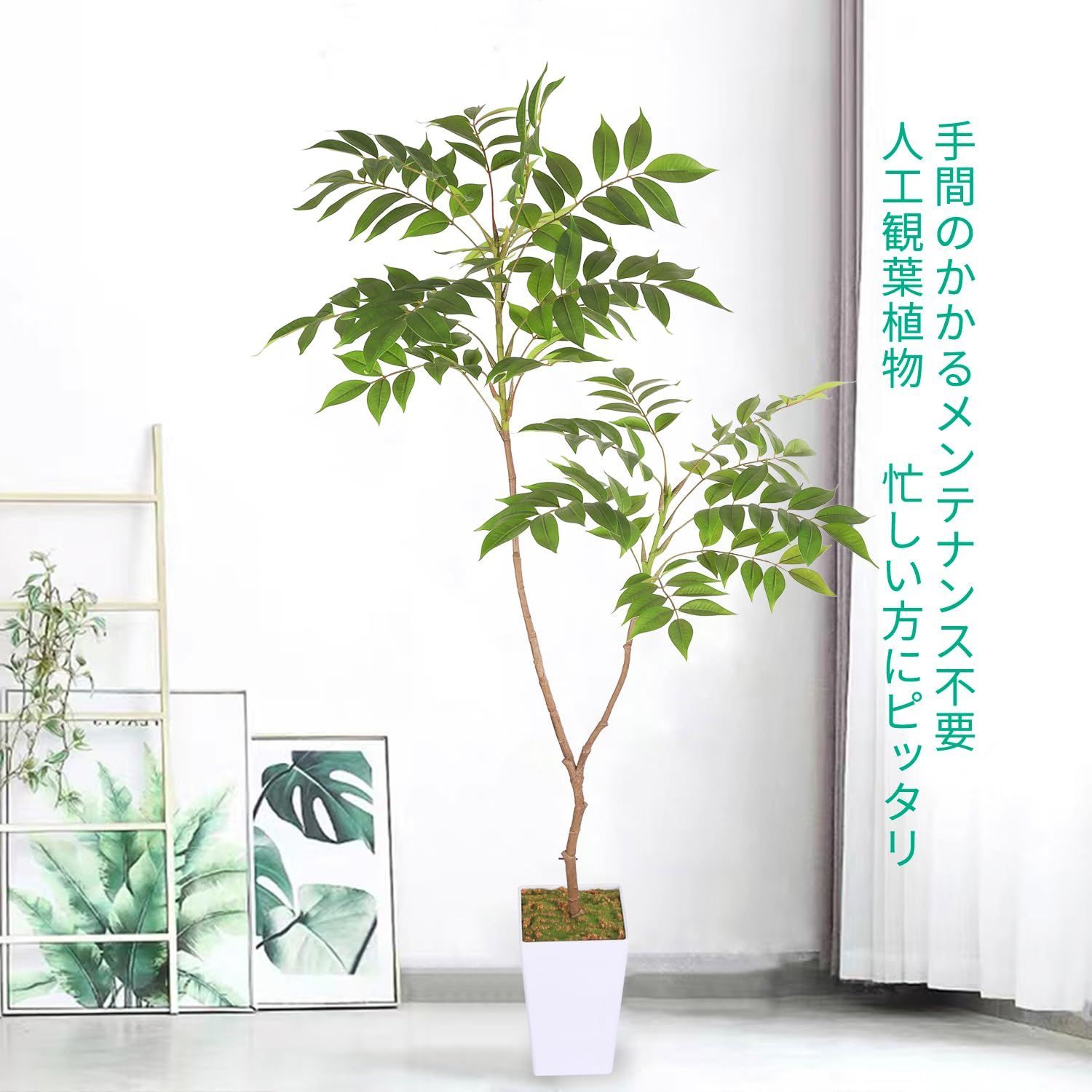 室内 装飾