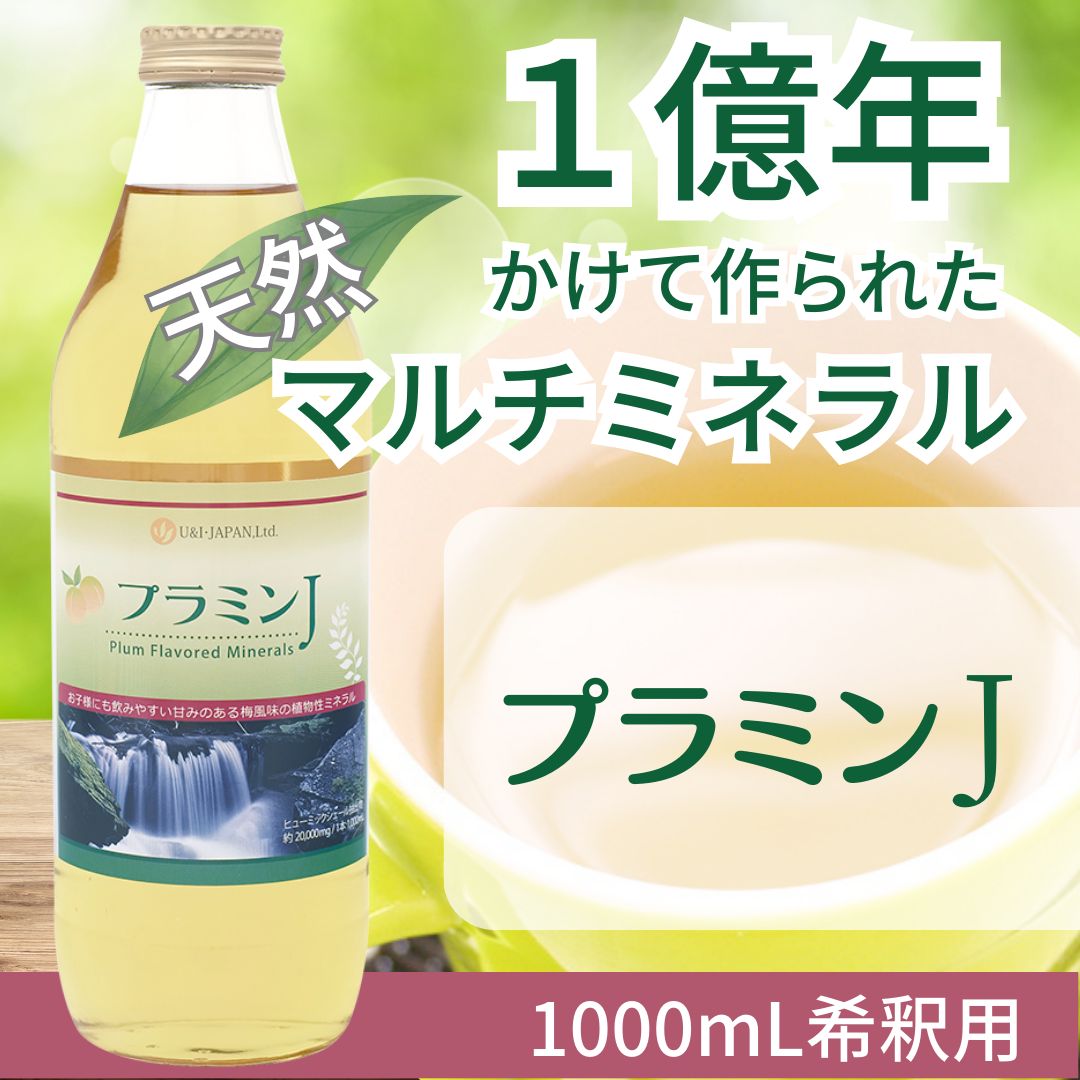 ヒューミックシェール植物ミネラル(フルボ酸)1000ml - その他