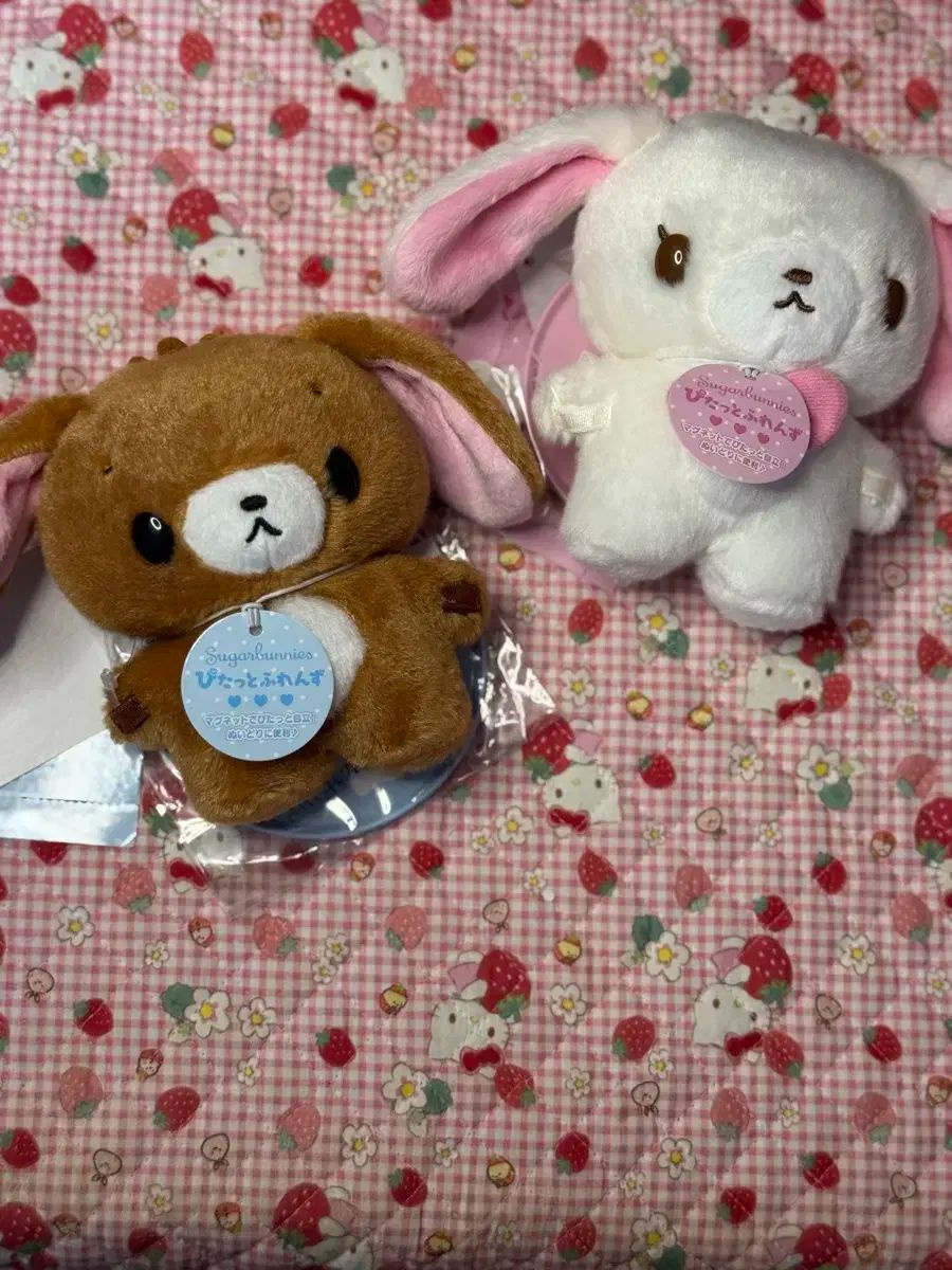 サンリオ シュガーバニー ぴたっとふれんず 黒佐 シロウサ セット まとめ売り