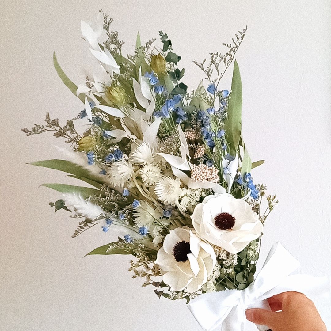 P.willinckii White rose sporeビカクシダ 晴花タグ付 お花種類