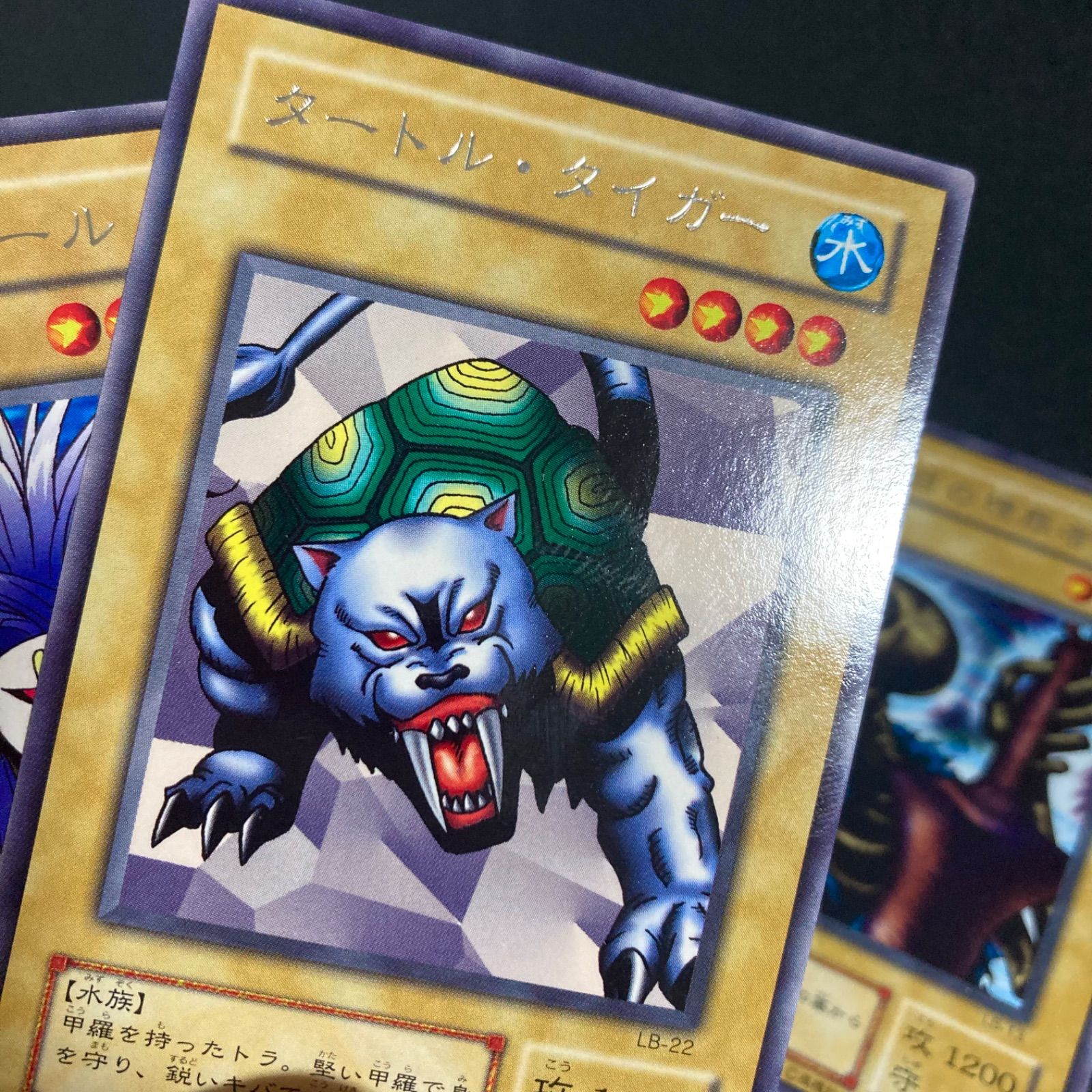 アクアマドール、タートルタイガー、地獄の裁判、13人目の埋葬者　初期 アクアマドール 13人目の埋葬者 タートルタイガー 深淵の冥王 二期