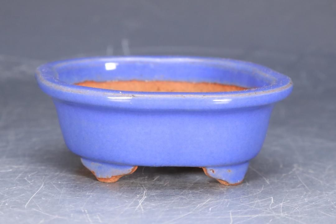 石井盆栽 渡辺壱興作 水色 盆栽鉢 p-035