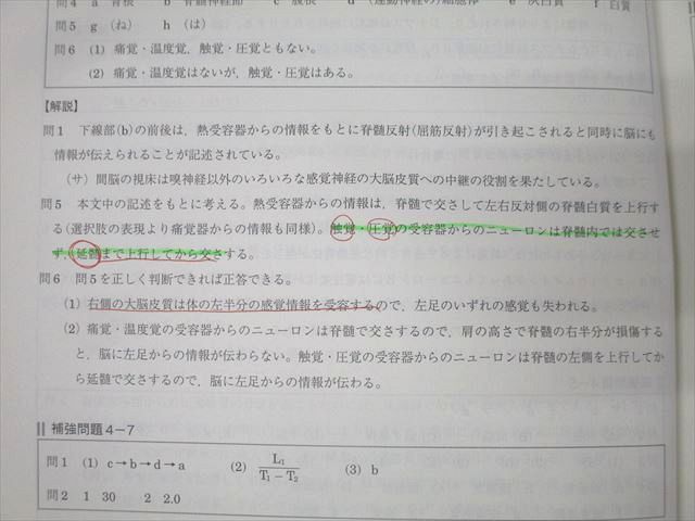 駿台 生物S Part1/2 テキスト通年セット 2021 計4冊 060M0D 駿台 生物S Part1/2 テキスト通年セット 2021 計4冊 sale 040M0D