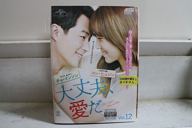 DVD 大丈夫、愛だ 全12巻 チョ・インソン コン・ヒョジン ※ケース無し