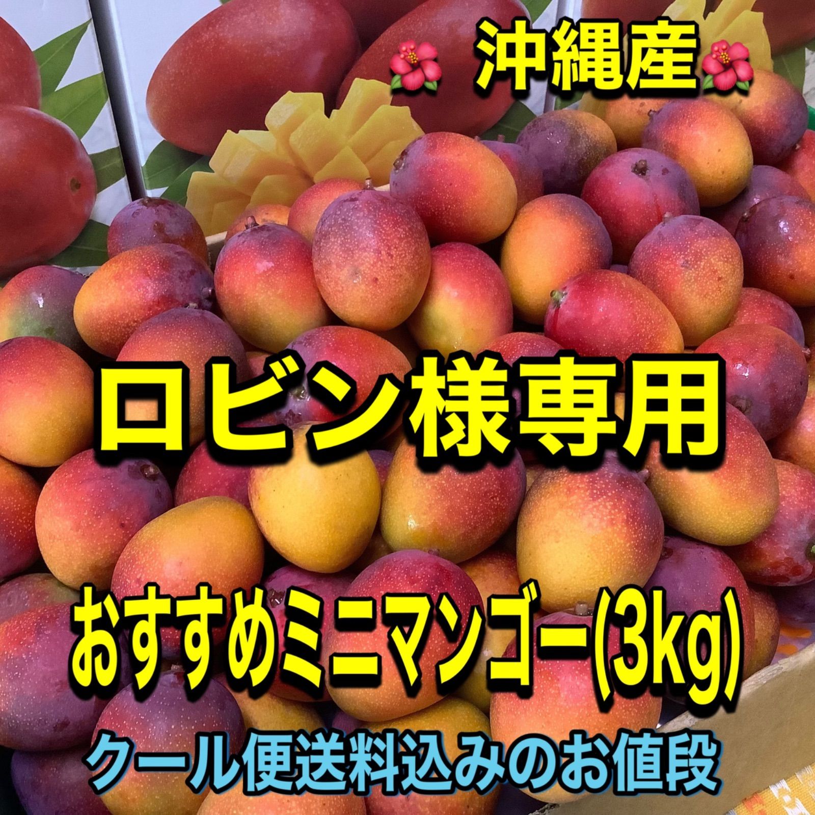 （安心のクール便！）大好評！沖縄産ミニマンゴー2Kg 甘くとろける！お子様にも大好評！！沖縄本島産アップルミニ