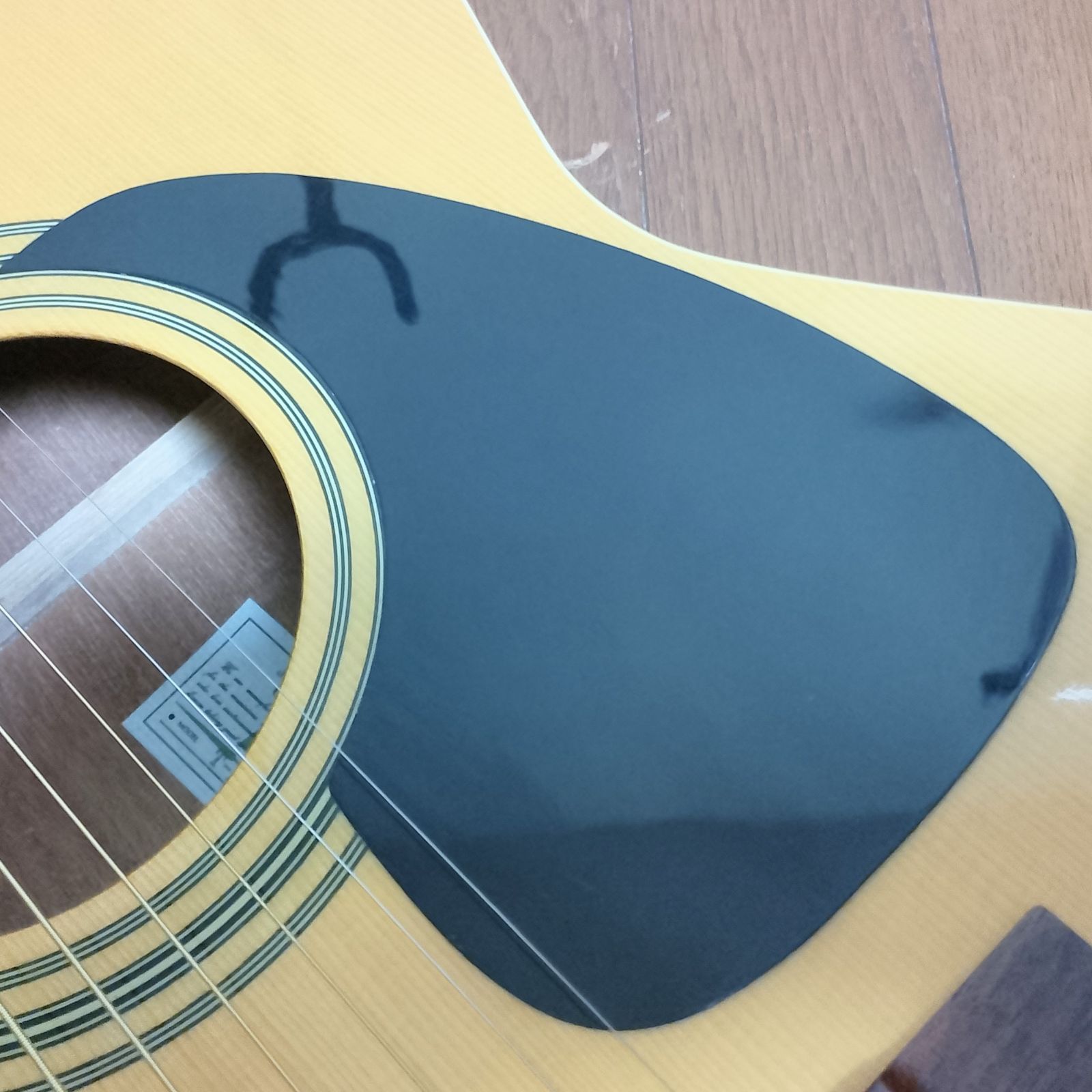 Takamine T-F1