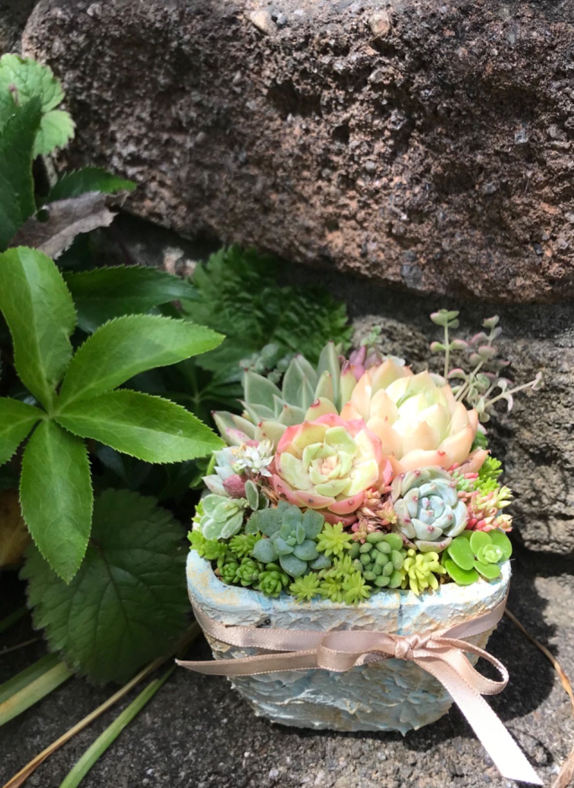 多肉植物寄せ植え(石造りの鉢) - メルカリ