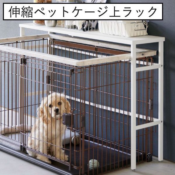 磁石 マグネット
