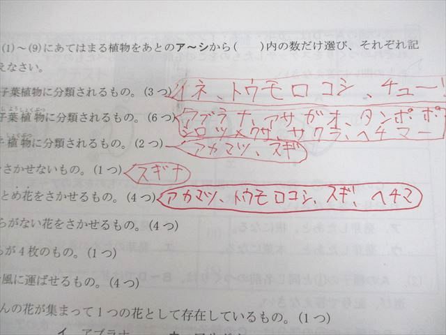 馬渕教室 小6 理科 志望校別/難関有名/特訓コース 化学/物理/生物/地学分野 テスト計95回 通年セット 2023 037M2D 馬渕教室 小6 理科 志望校別/難関有名/特訓コース 化学/物理