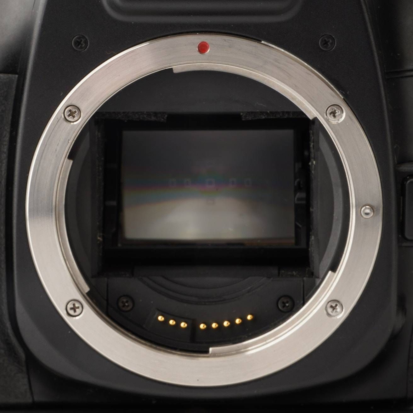 キヤノン Canon EOS 7 ボディ オファー / バッテリーパック BP-300