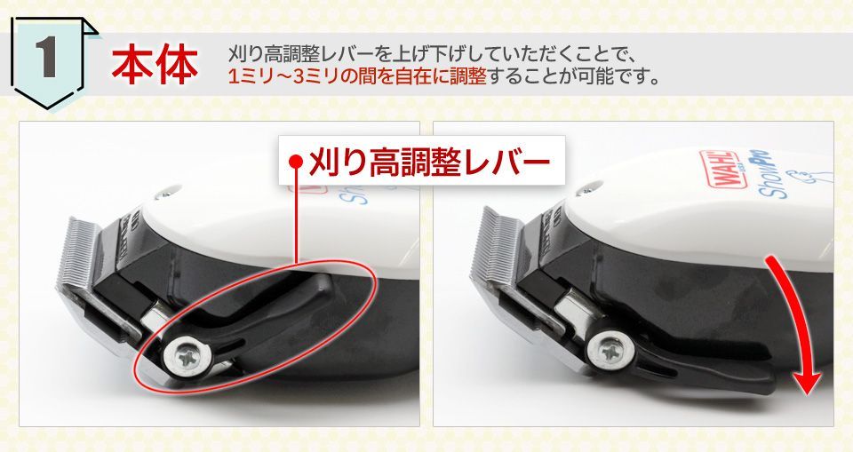 ３年間研ぎ無料券付き