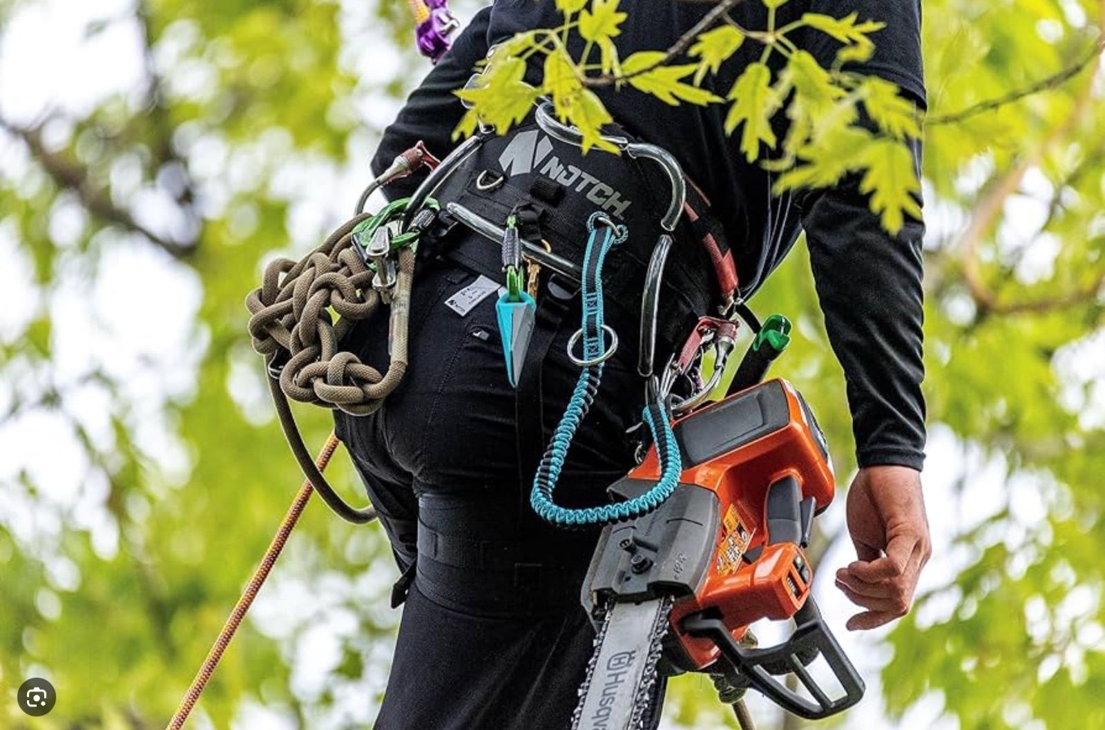 ツリークライミング、アーボリスト、ランヤード 、ペツル、petzl.クライミング、特殊伐採 - スポーツ別