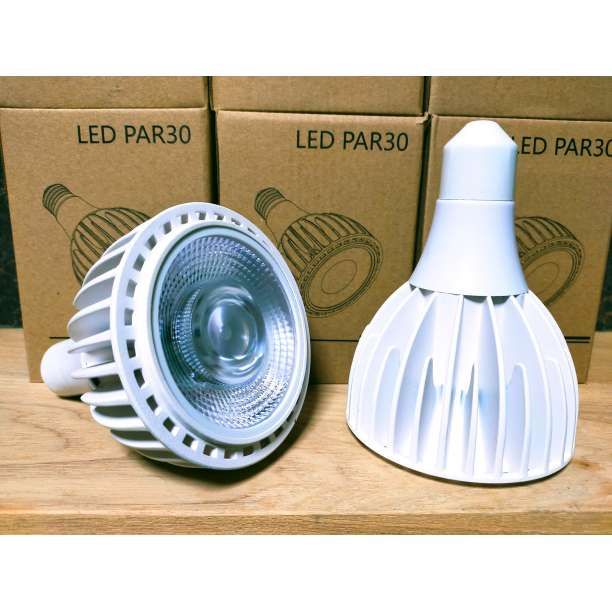 植物育成ライト 30W 6000K 1個 白色 太陽光 フルスペクトルLED - メルカリ