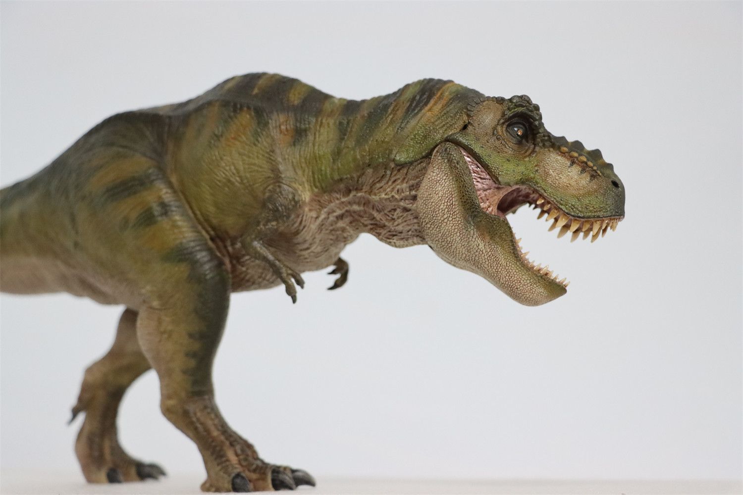 Nanmu 本心楠改 1/35 サイズ ティラノサウルス レックス King Ｔ-REX 大きい 肉食 恐竜 リアル フィギュア PVC プラモデル  おもちゃ 模型 プレゼント 43.5cm級 オリジナル 塗装済 完成品 (永遠の王--標準版) - メルカリ