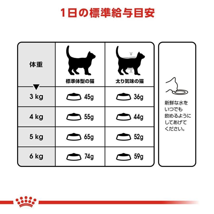 ロイヤルカナン 猫