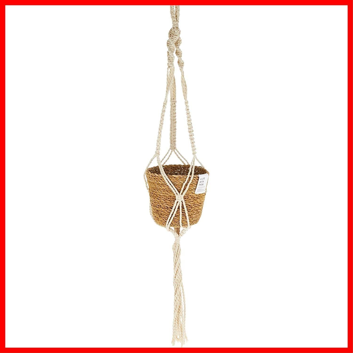 在庫 お部屋のインテリアにマッチした観葉植物をハンギング シーグ