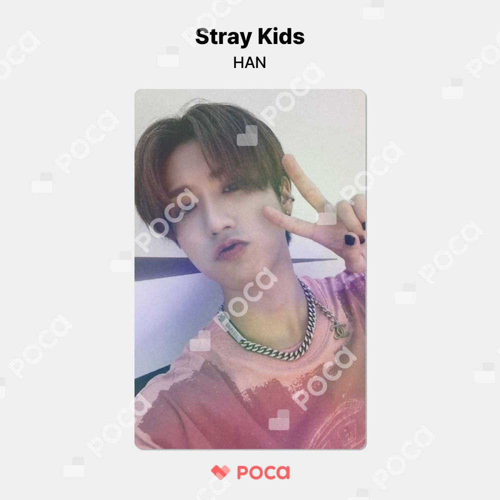 straykids リノ】スキズ MAXIDENT KMS 特典 公式 トレカ