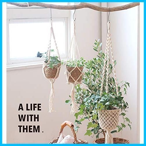 在庫セール お部屋のインテリアにマッチした観葉植物をハンギング 天然素材シーグ