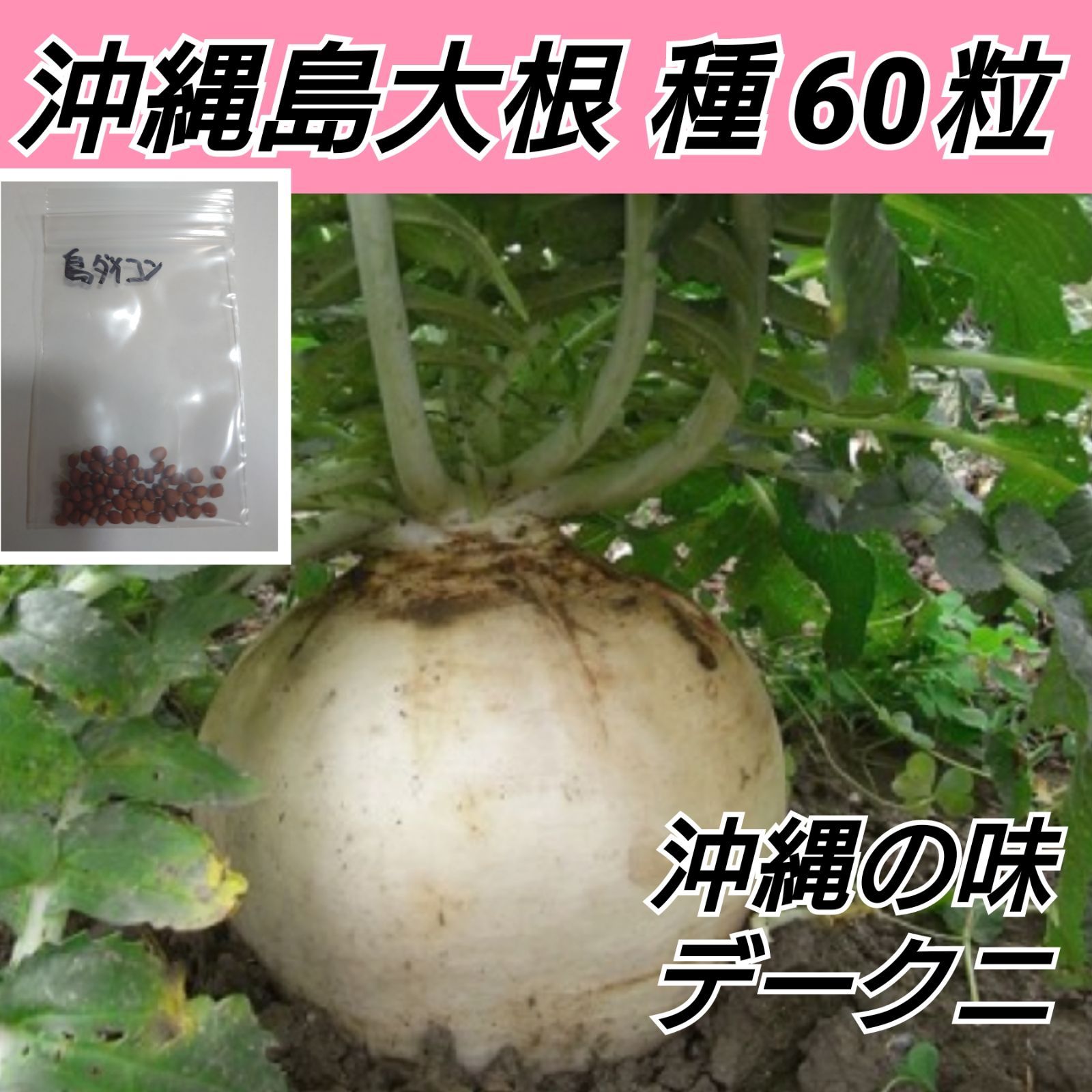 沖縄島大根 種60粒【固定種】shop . - メルカリ