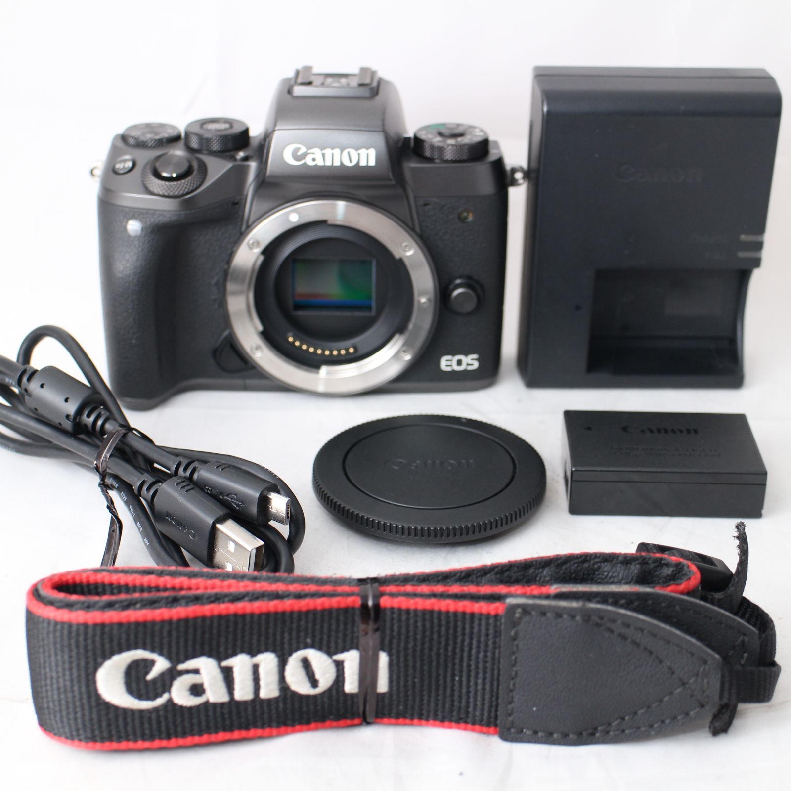 EOSM5BODY デジタル一眼レフカメラ ミラーレスカメラ EOS M5