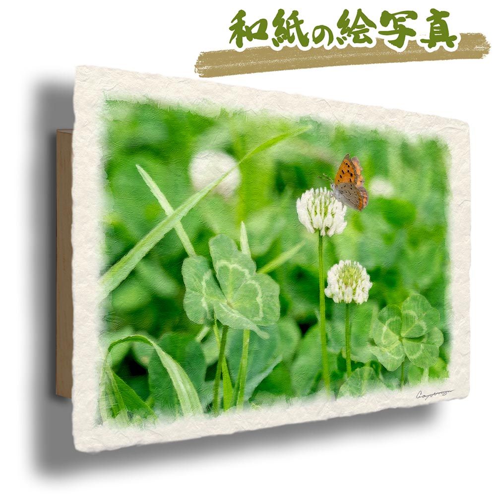 樹高8㎝ 根上がり 野薔薇 雅 柴勝 ミニバラ 小品盆栽 真柏 黒松 五葉松