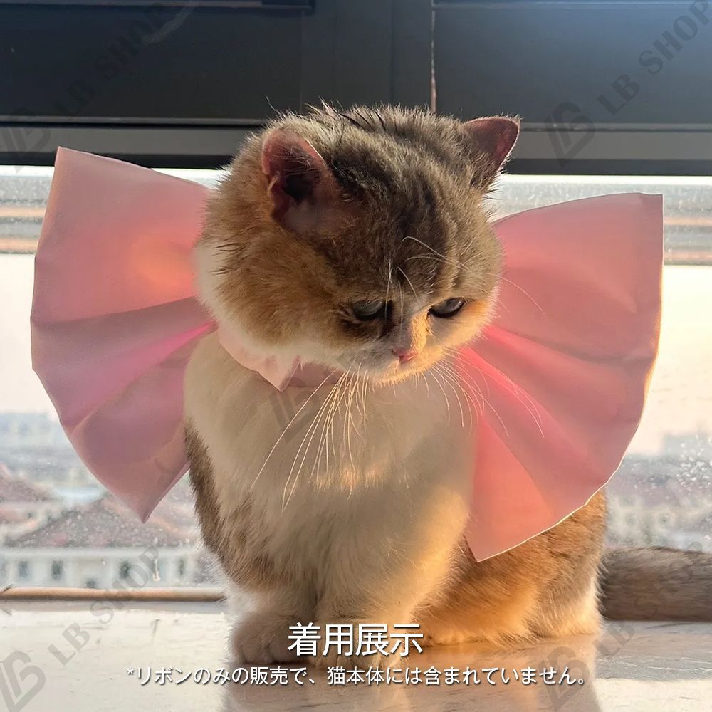 ペット用大きなリボン 犬 猫 リボン 猫用首輪 犬用首輪 トム猫 紫の