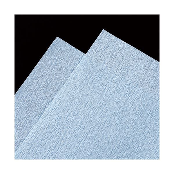 TANOSEEペーパータオル ハードタイプ ブルー レギュラー パック 5ケース