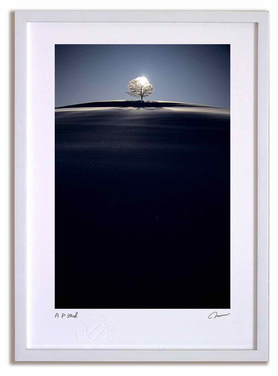 アートフォト 絵画 霧氷の木 高橋真澄 インテリア 額入り 額装込 風景画 油絵 ポスター アート アートパネル リビング 玄関 プレゼント モダン アートフレーム 飾る Mサイズ おしゃれ 壁掛け 絵